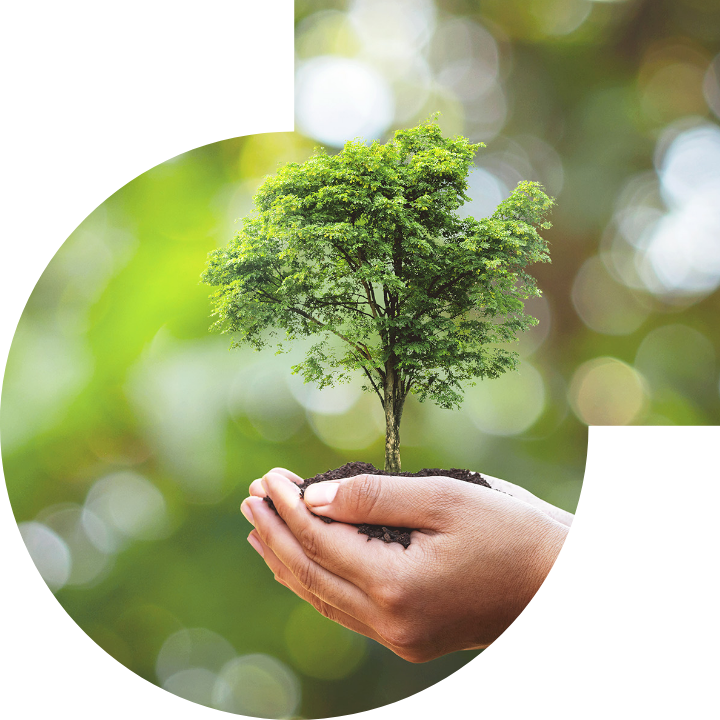 关怀人类、文化、环境与社会