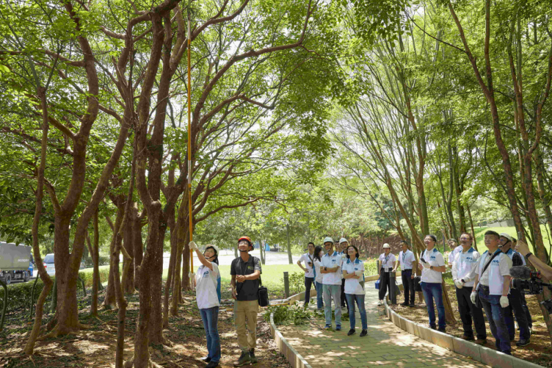 藝師教導大家認識樹木、檢查樹的健康狀況，學習修枝及碎枝覆土